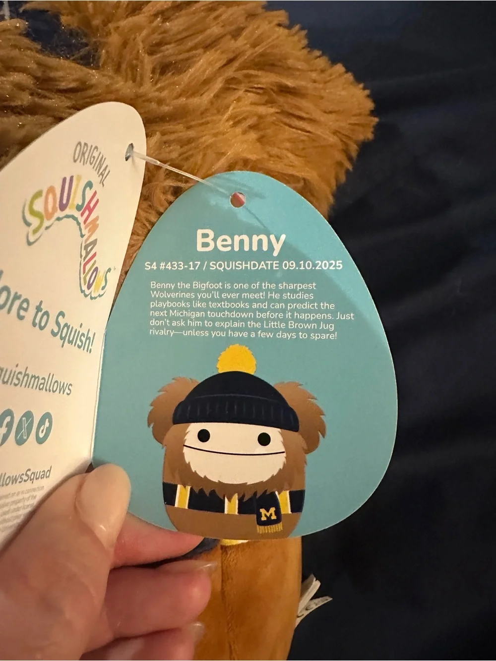 NWT- Squishmallows Benny Wolverine